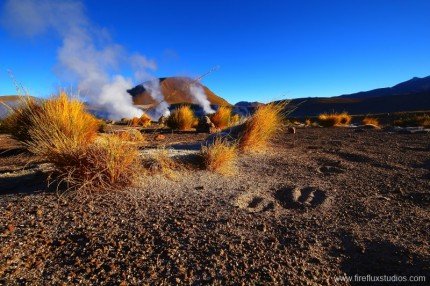 Steaming Desert 2