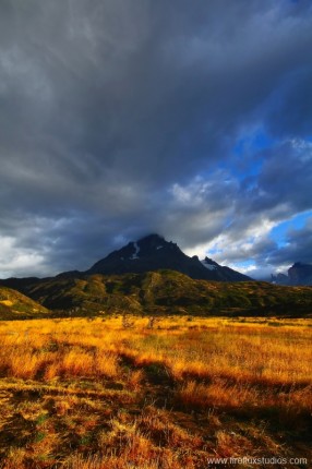 Fields Of Patagonia 2