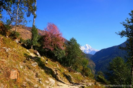 Path To The Mountains