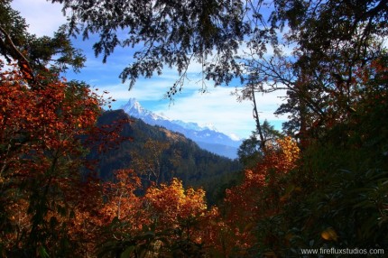 Fish Tail Mountain