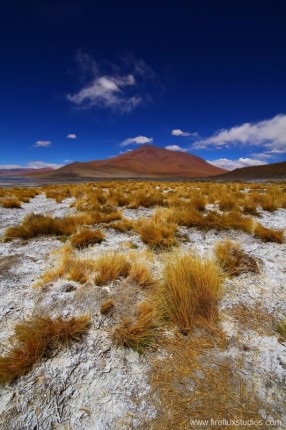 Multicoloured Desert