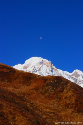 Annapurna South Moon Rise