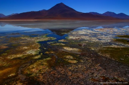 Colourful Reflections 2