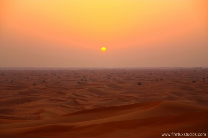 Desert Sunset